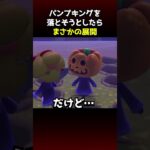 【あつ森】パンプキングを落とそうとした西田、最悪の結末を迎えてしまう…