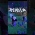 久しぶりに村に訪れた時に起きた事件【あつ森】