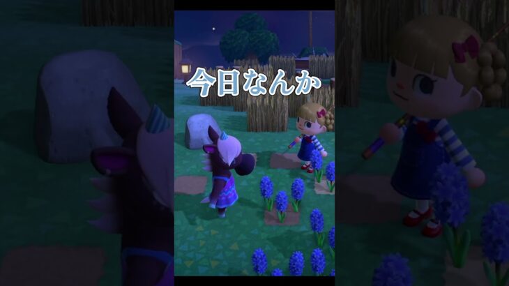 久しぶりに村に訪れた時に起きた事件【あつ森】