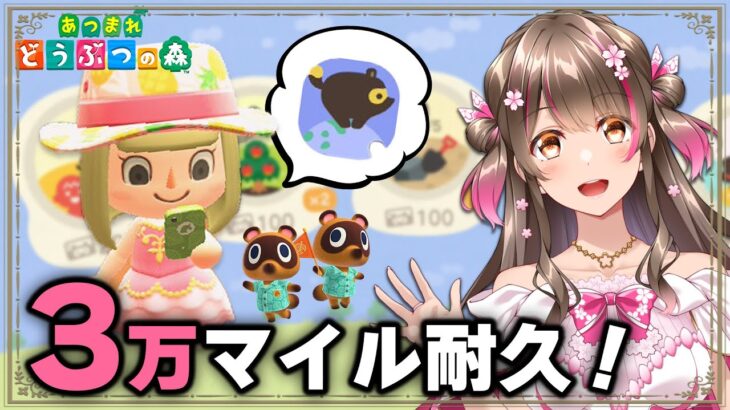 【あつ森】あらゆる方法で３万マイル貯めるぞ！何時間かかるのか？（時間操作は無し）【あつまれどうぶつの森 ライブ】