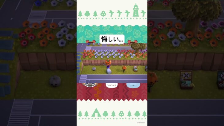 パンプキングの呪いだぁ〜 #あつ森