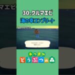 クルマエビ、ゲットだぜ！【あつ森】