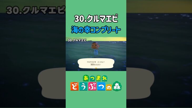 クルマエビ、ゲットだぜ！【あつ森】