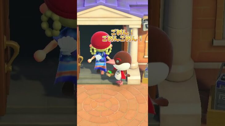 筋トレしてもガリガリくんと案内所【あつ森】 #どう森 #あつ森  #あつまれどうぶつの森