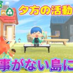 来た事が無い島に訪問先にお邪魔します！主のみ『あつ森/あつまれどうぶつの森』
