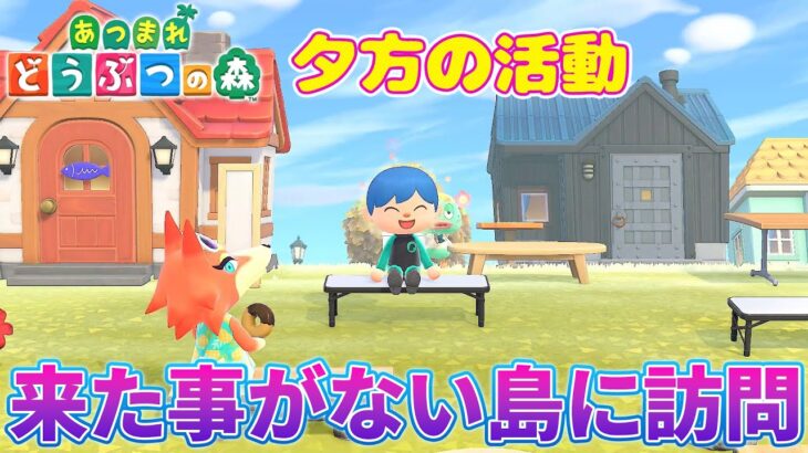来た事が無い島に訪問先にお邪魔します！主のみ『あつ森/あつまれどうぶつの森』