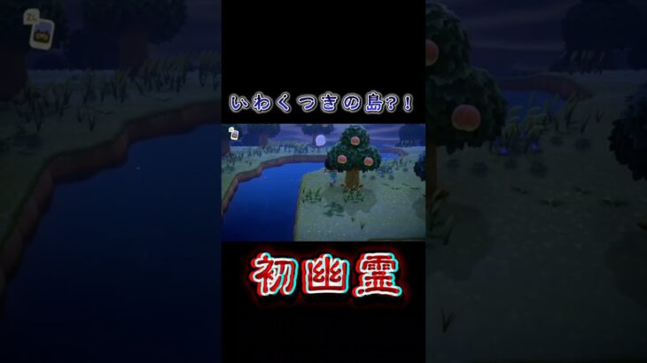 この島は昔に…　　チャンネル登録おねがいします！ #あつ森 #幽霊#発見