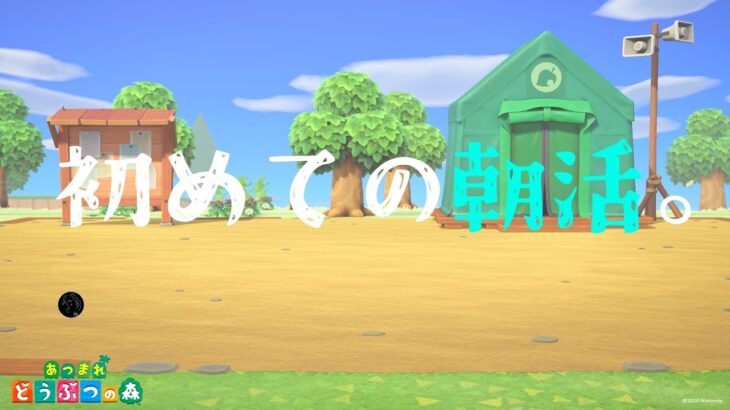 【あつ森初見】はじめての朝活配信！！