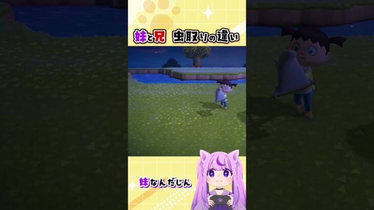 兄と妹「虫取りの違い」【 #あつ森 】