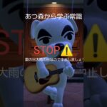 あつ森から学ぶ常識