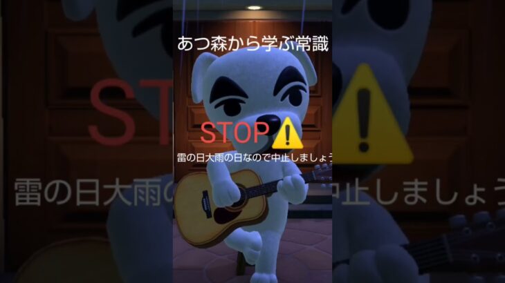 あつ森から学ぶ常識