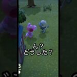 【あつ森】何があった？？ある住民達の様子。