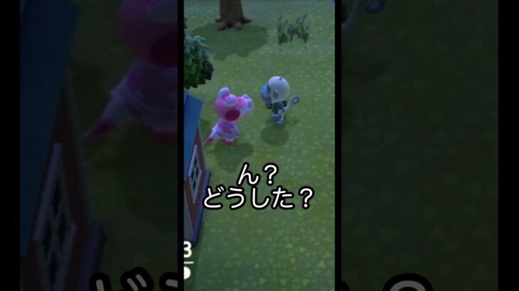 【あつ森】何があった？？ある住民達の様子。