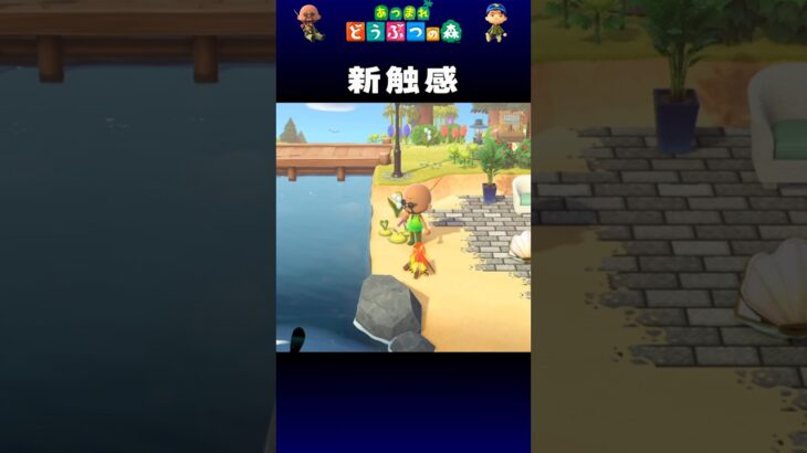 【あつ森】新触感