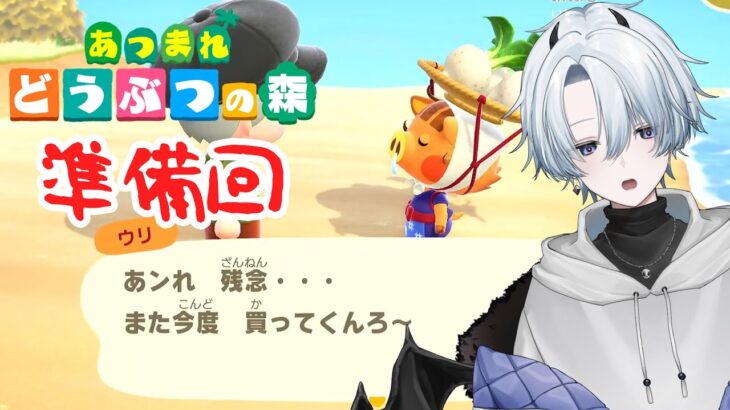 【あつ森】カブを買うためのベルを準備するぞ