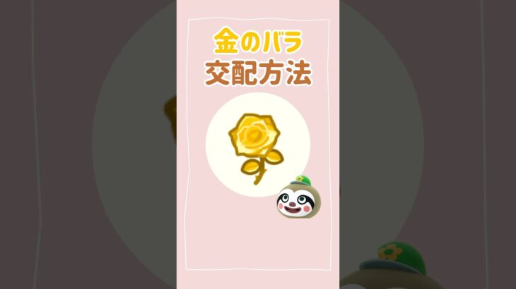 【あつ森】金のバラの交配方法🌹