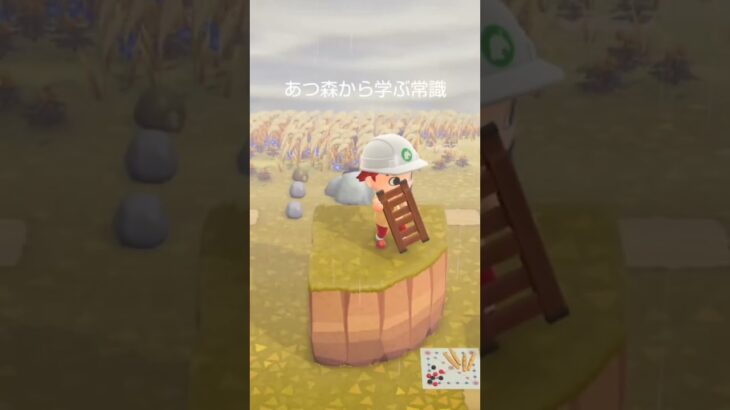 あつ森から学ぶ常識