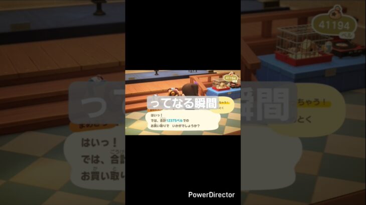 皆さんはありますか？#あつまれどうぶつの森 #あつ森