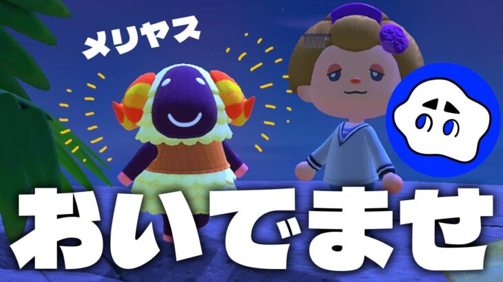 【あつ森】メリヤスまだ来てなかった…涙　博物館セレモニーとまめつぶ商店の配置決め【とてものんびり】