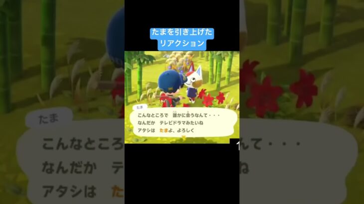 【あつ森】離島ガチャで，たま引いた，リアクション#あつ森