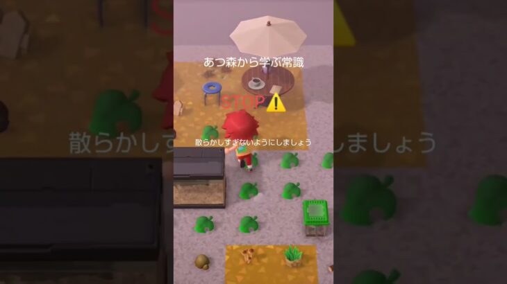 あつ森から学ぶ常識