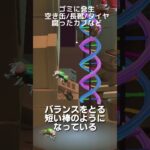 【あつ森】ムシ図鑑│ハエ