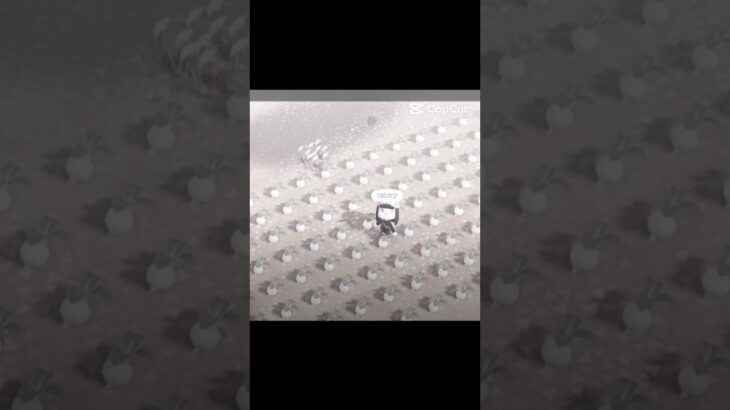 島クリとか終わったら誰か島呼びたい #テンプレ #あつ森