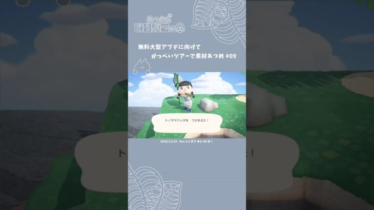 ちょうど１週間ぶり！２度目のツタ＆ヒカリゴケの島だ〜！🌴│準備│あつまれどうぶつの森 ⛵ ˊ˗