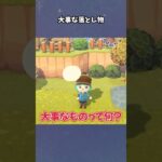 【あつ森】大事な物が詰まったポーチが！！ #あつ森  #あつまれどうぶつの森  #女性ゲーム実況