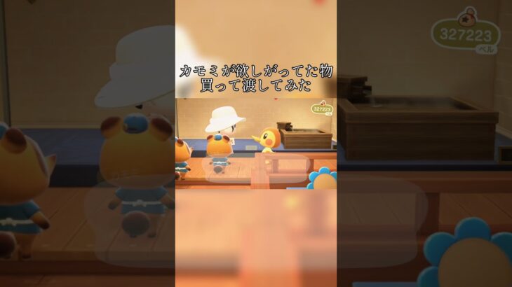 【あつ森】住民が見てたやつ買ってあげてみた #まきの投稿 #まきの切り抜き #あつ森