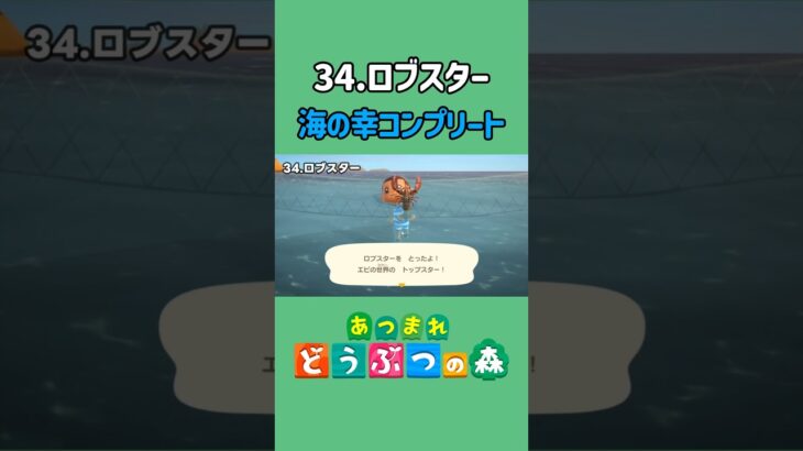 ロブスター、ゲットだぜ！【あつ森】