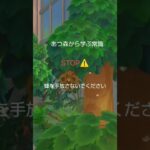 あつ森から学ぶ常識