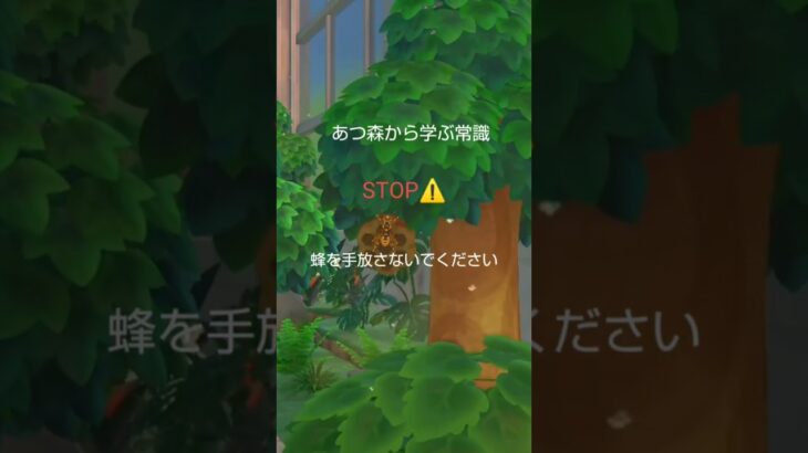 あつ森から学ぶ常識