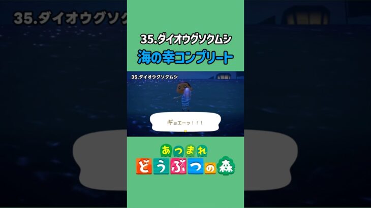 ダイオウグソクムシ、ゲットだぜ！【あつ森】