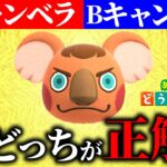 あつ森の離島ガチャで「格付けチェック」やってみたら面白すぎた２