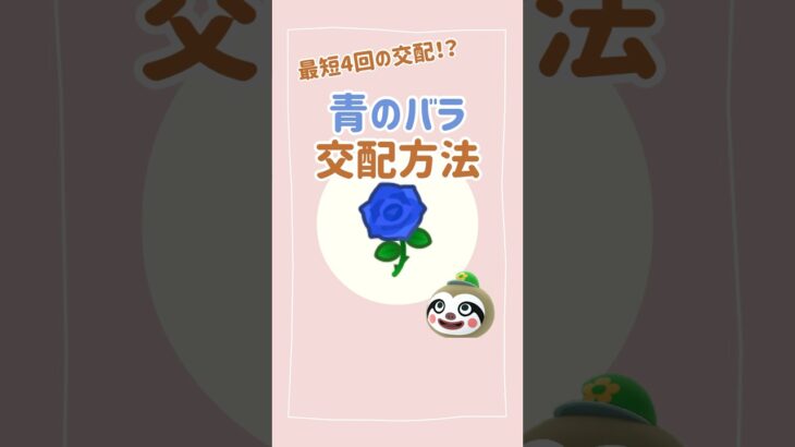 【あつ森】最短ルート！？青バラの交配方法！