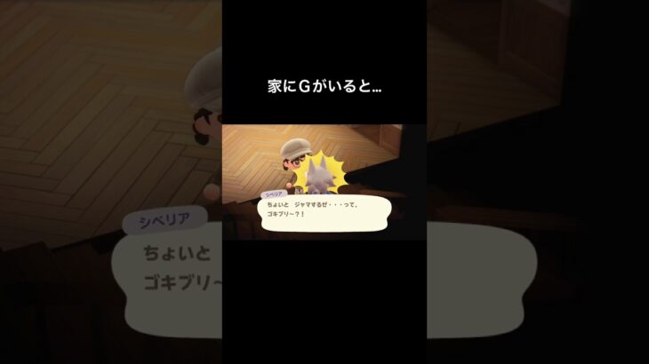 ごめんね母ちゃん！[あつ森]