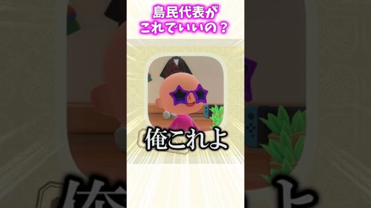 ねぇ！！島民代表がこれよ！？！？【あつ森】