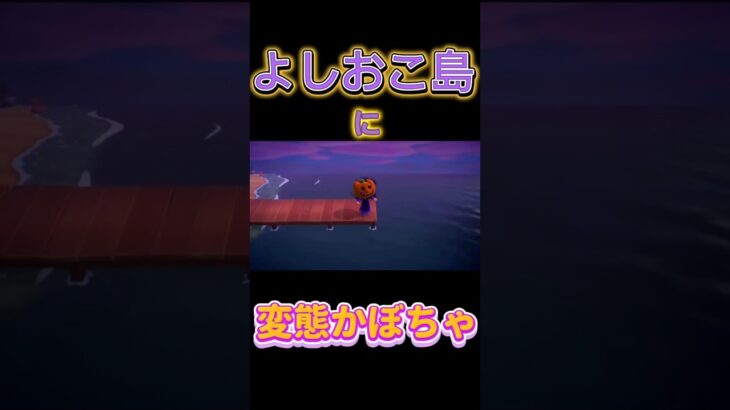 #ゲーム実況 #あつ森 #カップルゲーム実況