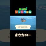 【あつ森】初めてのオオシャコガイ #ゲーム実況 #実況 #あつまれどうぶつの森 #あつ森