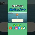 ヒラムシ、ゲットだぜ！【あつ森】