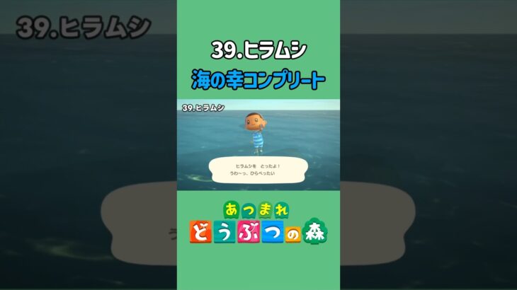 ヒラムシ、ゲットだぜ！【あつ森】