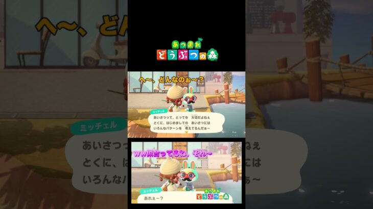 【あつ森】頼れるミッチェルくん・・カッコいい〜🌱