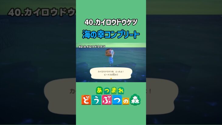 カイロウドウケツ、ゲットだぜ！【あつ森】