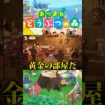 リスナーの島訪問したらクオリティが高すぎた… #あつ森