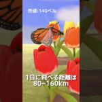 【あつ森】ムシ図鑑│オオカバマダラ🦋