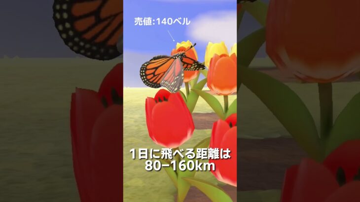 【あつ森】ムシ図鑑│オオカバマダラ🦋