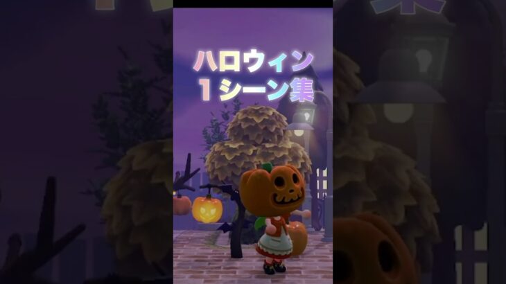 【あつ森】夢でも見たいあつ森ハロウィン集＃ハロウィン＃ハピパラ＃あつ森＃ハピパラ