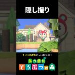 【あつ森】可愛いグミさんを隠し撮りしてみた