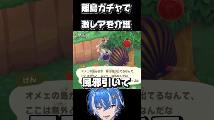 最高の神回【あつまれどうぶつの森】#あつ森